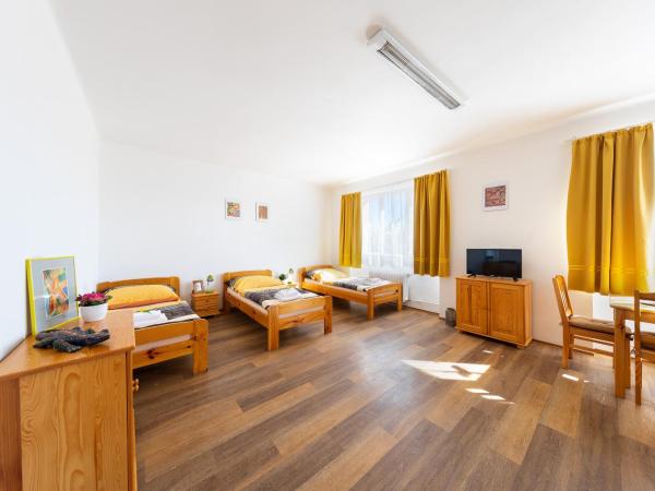 Penziony Beneš : photo 2 de la chambre studio triple standard