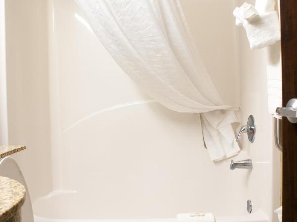 Microtel Inn & Suites by Wyndham Jacksonville Airport : photo 10 de la chambre chambre lit queen-size - non-fumeurs