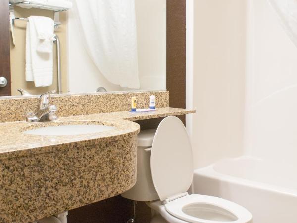 Microtel Inn & Suites by Wyndham Jacksonville Airport : photo 2 de la chambre chambre lit queen-size - non-fumeurs