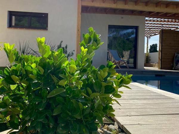 le pool house : photo 6 de la chambre chambre double - vue sur piscine