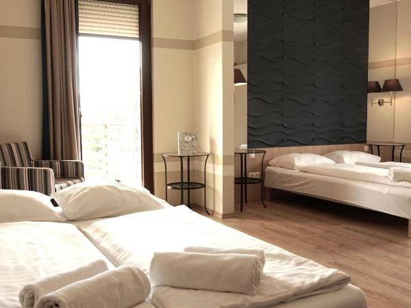 Fürjes Villa Apartmanház : photo 3 de la chambre studio avec canapé-lit