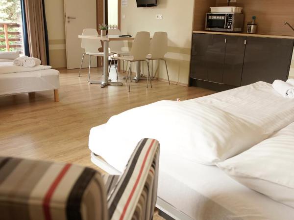 Fürjes Villa Apartmanház : photo 4 de la chambre studio avec canapé-lit