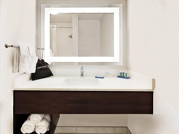 Holiday Inn Express New Orleans East, an IHG Hotel : photo 4 de la chambre chambre standard