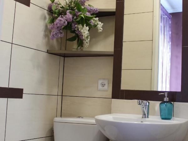 Szafirowy Zakątek : photo 3 de la chambre chambre double avec salle de bains privative