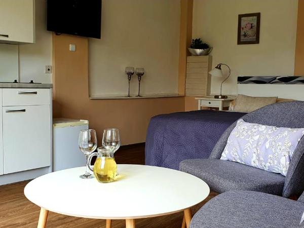 Pension Elbrs : photo 1 de la chambre chambre double Économique