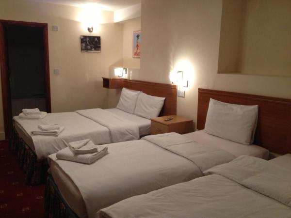 Bridge Park Hotel : photo 3 de la chambre chambre quadruple avec salle de bains privative