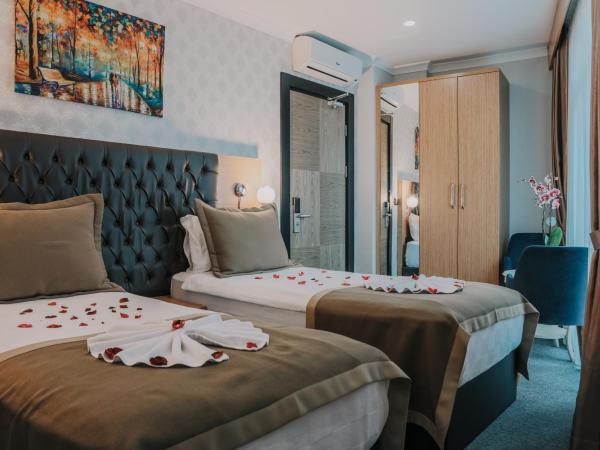 Otel Grand Lark İstanbul : photo 5 de la chambre chambre lits jumeaux deluxe