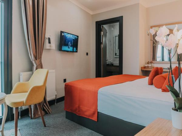 Otel Grand Lark İstanbul : photo 8 de la chambre chambre deluxe