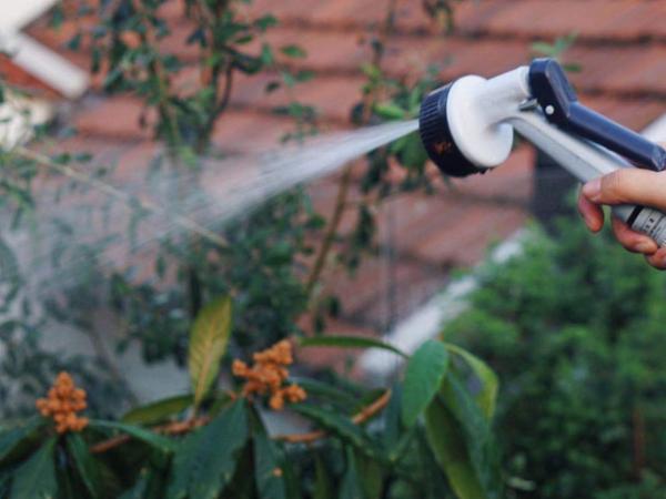 Shanghai Downtown Hills Boutique Guesthouse - Near Metro Line 7, Exit 3, Changping Road : photo 9 de la chambre yunnan family room with terrace