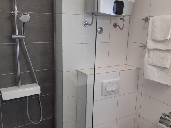 B&B Villa Velike Stine : photo 4 de la chambre appartement (a4) pour 2 à 4 personnes