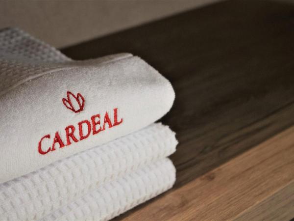 Cardeal Suites & Apartments : photo 6 de la chambre appartement - vue sur jardin