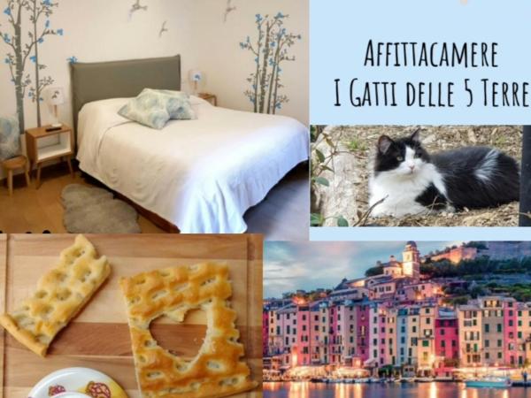 Affittacamere I Gatti delle 5 Terre : photo 5 de la chambre chambre triple avec salle de bains privative