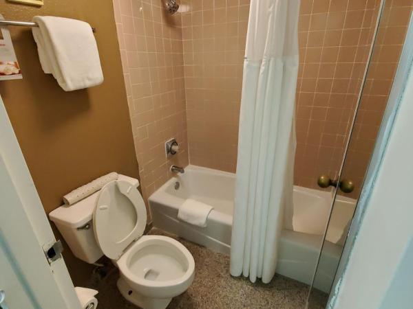 Ramada by Wyndham Temple Terrace/Tampa North : photo 9 de la chambre chambre lit king-size - non-fumeurs