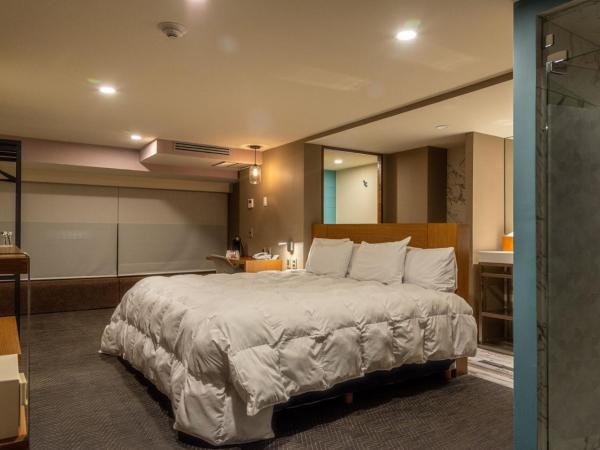 Hotel Clé Reforma Insurgentes : photo 1 de la chambre suite