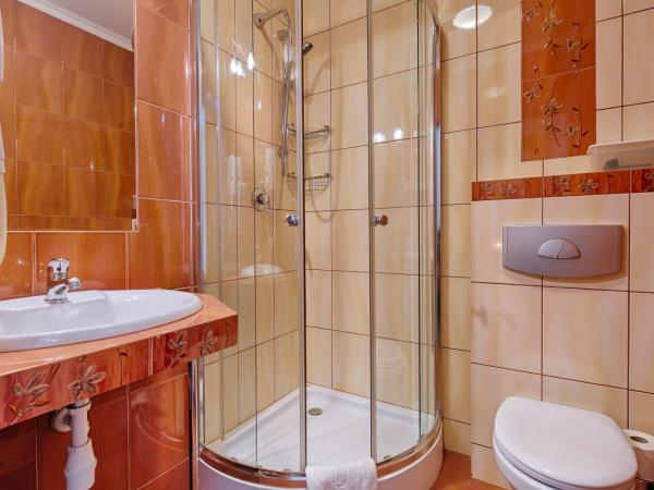 Pensjonat Dawidek : photo 5 de la chambre chambre familiale - vue sur montagne