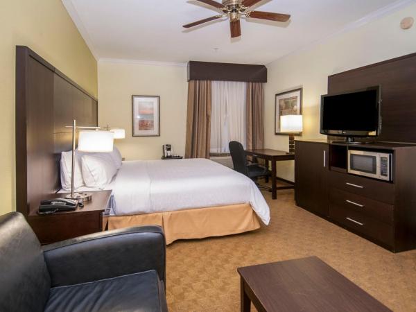 Holiday Inn Express Hotel & Suites Houston North Intercontinental, an IHG Hotel : photo 5 de la chambre chambre lit king-size - non-fumeurs