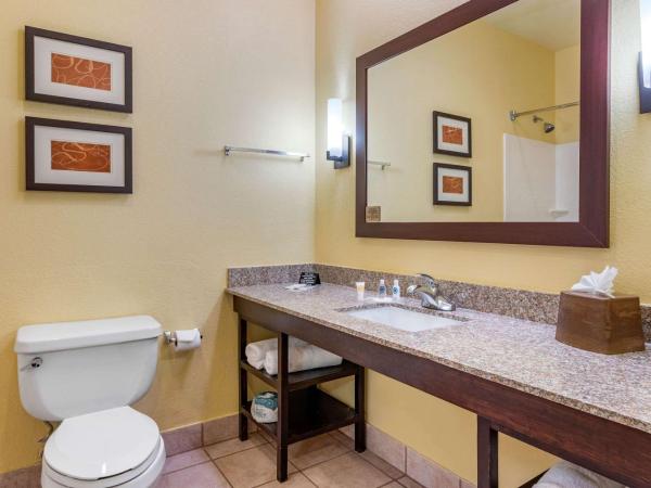 Comfort Suites - Near the Galleria : photo 4 de la chambre suite lit king-size avec jacuzzi - non-fumeurs