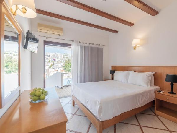 Bertolina Guest House : photo 8 de la chambre chambre double ou lits jumeaux avec balcon