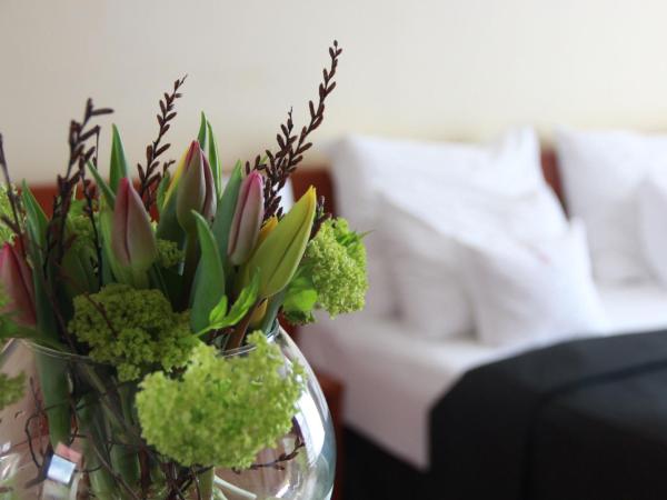 Art Hotel Prague : photo 1 de la chambre chambre double standard