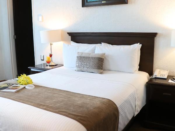 Mesón Ejecutivo Guadalajara Minerva - Av México : photo 2 de la chambre chambre standard