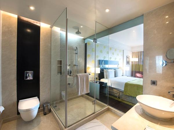 Crowne Plaza Pune City Centre, an IHG Hotel : photo 3 de la chambre chambre standard