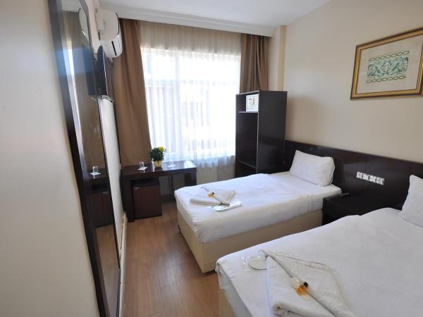 Hotel Baykal : photo 2 de la chambre chambre lits jumeaux standard