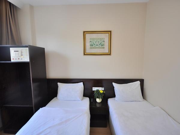 Hotel Baykal : photo 6 de la chambre chambre lits jumeaux standard