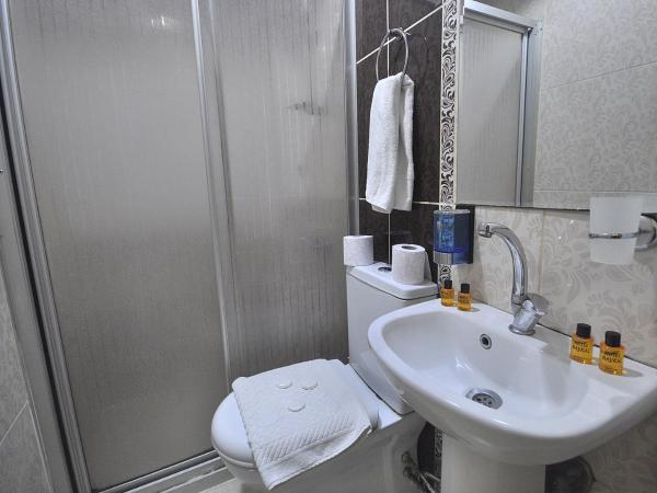 Hotel Baykal : photo 7 de la chambre chambre simple standard