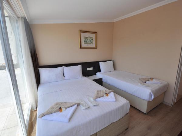 Hotel Baykal : photo 8 de la chambre chambre triple avec balcon