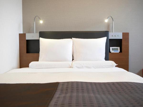 HOTEL MYSTAYS Asakusabashi : photo 1 de la chambre chambre double supérieure - vue sur ville - non-fumeurs