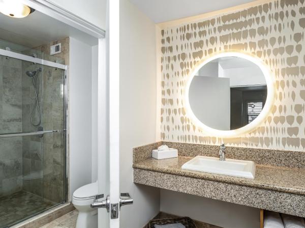 Ocean Park Inn : photo 2 de la chambre chambre lit king-size standard