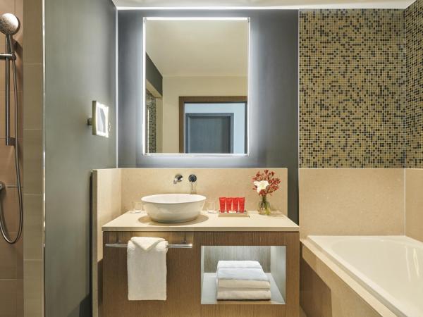 InterContinental Lyon - Hotel Dieu by IHG : photo 2 de la chambre chambre lit king-size première - vue sur rivière