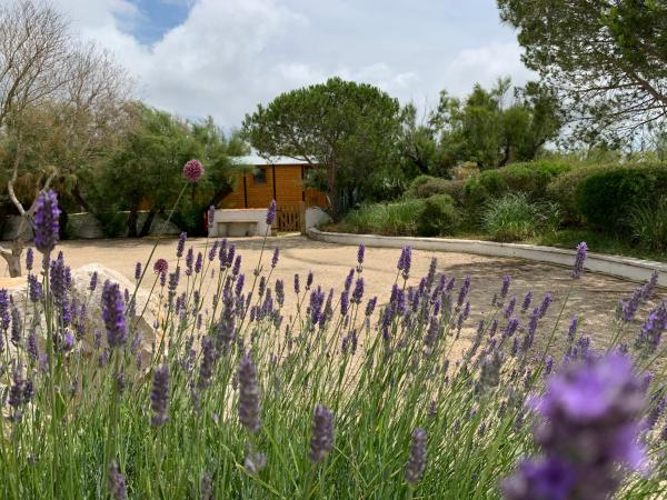 Clamador : photo 3 de la chambre bungalow - vue sur jardin