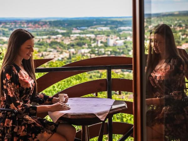 Bagolyvár Panzió : photo 2 de la chambre chambre double avec balcon