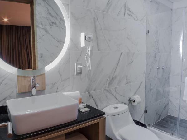 Hotel Kavia Monterrey : photo 8 de la chambre chambre double avec 2 lits doubles