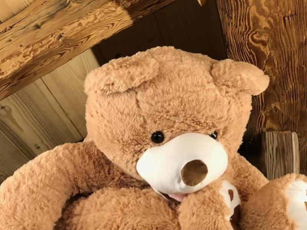 Les Mazots des Fées : photo 7 de la chambre appartement deluxe