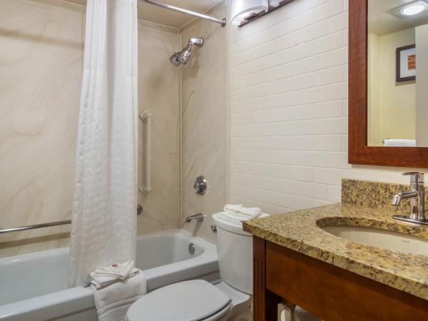 Comfort Inn Denver Central : photo 2 de la chambre chambre lit king-size avec douche accessible aux fauteuils roulants - accès aux personnes à mobilité réduite/non-fumeurs