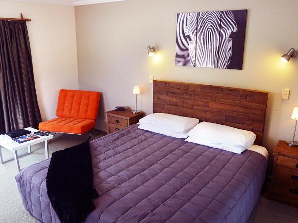 Rotorua Coachman Spa Motel : photo 2 de la chambre studio confort avec bain à remous