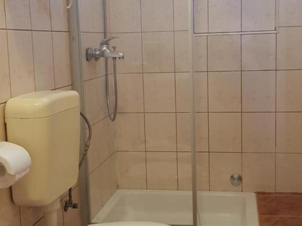 Apartments and Rooms Vesna Novalja : photo 2 de la chambre appartement avec balcon