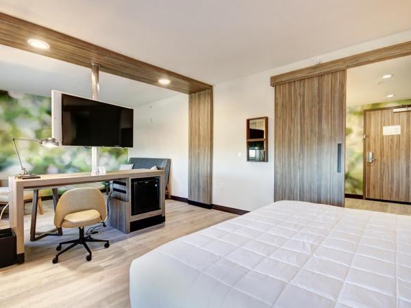 Wyndham Garden Sacramento Airport Natomas : photo 7 de la chambre suite lit king-size – non-fumeurs