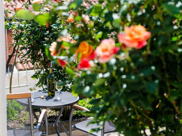 Apartments Zore Glavinić : photo 2 de la chambre studio avec terrasse