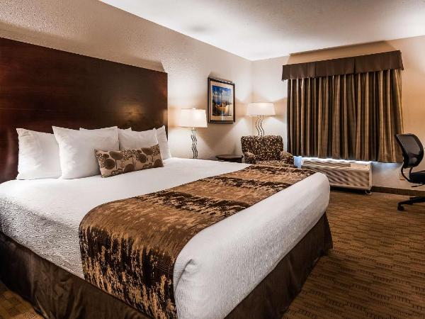 Best Western Plus Pembina Inn & Suites : photo 5 de la chambre chambre lit king-size