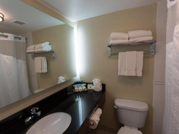 Holiday Inn Express Edmonton Downtown, an IHG Hotel : photo 5 de la chambre chambre standard avec 2 lits queen-size