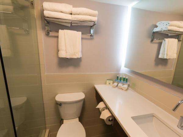 Holiday Inn Express Edmonton Downtown, an IHG Hotel : photo 5 de la chambre suite lit king-size – non-fumeurs