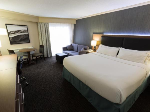Holiday Inn Express Edmonton Downtown, an IHG Hotel : photo 7 de la chambre chambre lit king-size exécutive