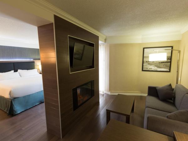 Holiday Inn Express Edmonton Downtown, an IHG Hotel : photo 6 de la chambre suite lit king-size – non-fumeurs