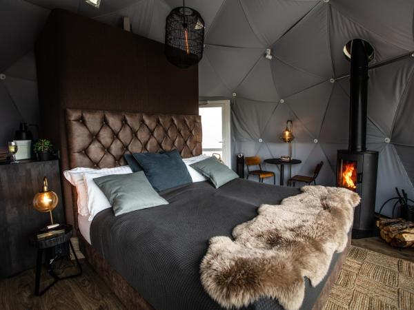 Reykjavik Domes : photo 8 de la chambre hébergement de luxe dôme