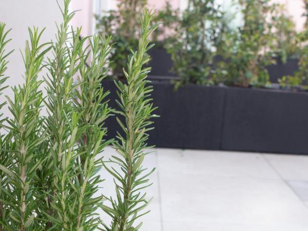 Cardeal Suites & Apartments : photo 10 de la chambre studio avec vue sur jardin