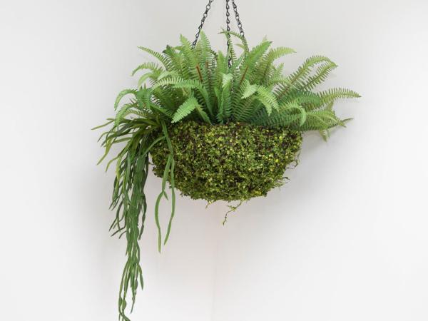 MARINA PONENTE : photo 8 de la chambre appartement avec terrasse