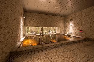 Super Hotel Premier Osaka Honmachi Ekimae Natural Hot Springs : photo 1 de la chambre room #164099025